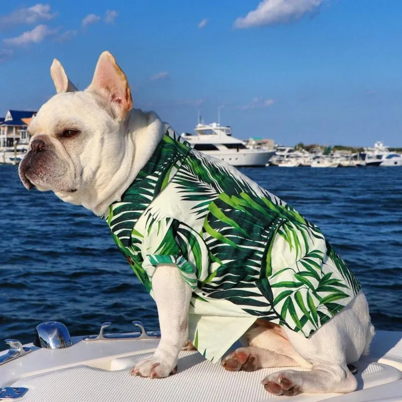 Ashore Shop Pet Dog Hawaiian Shirt Beach Print Clothing