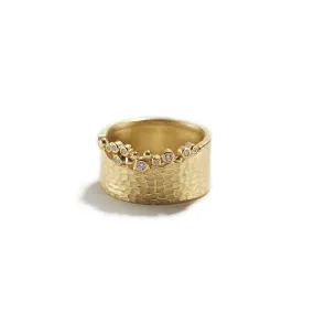 Gold Glacier Crevasse Ring