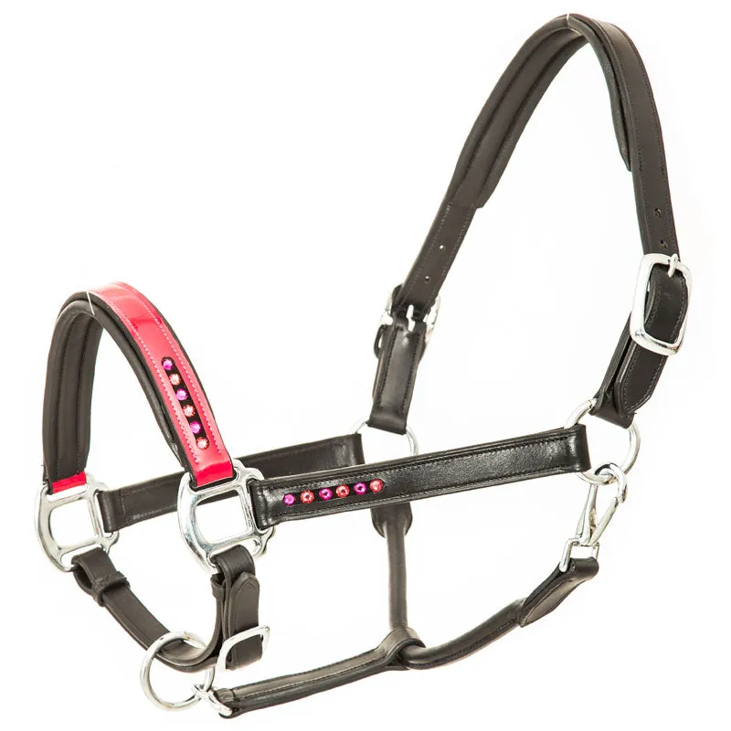 Imperial Riding Lavarre Leather Headcollar