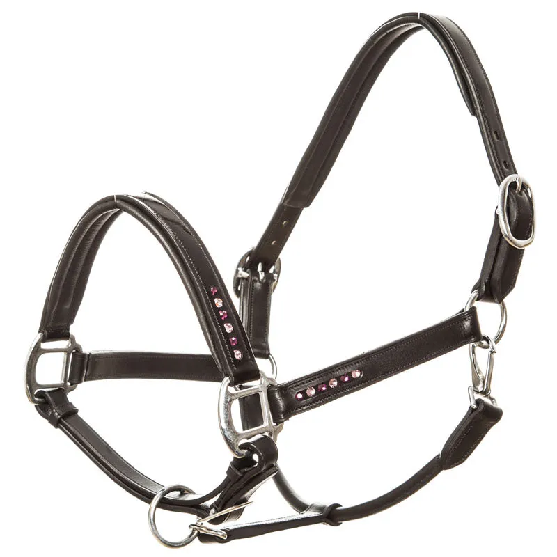 Imperial Riding Lavarre Leather Headcollar