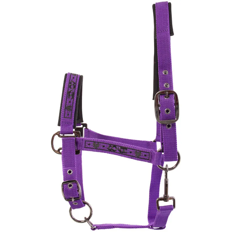 Imperial Riding Let's Dance Headcollar