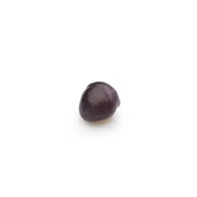 Natural Quahog Pearl 3.16 ct