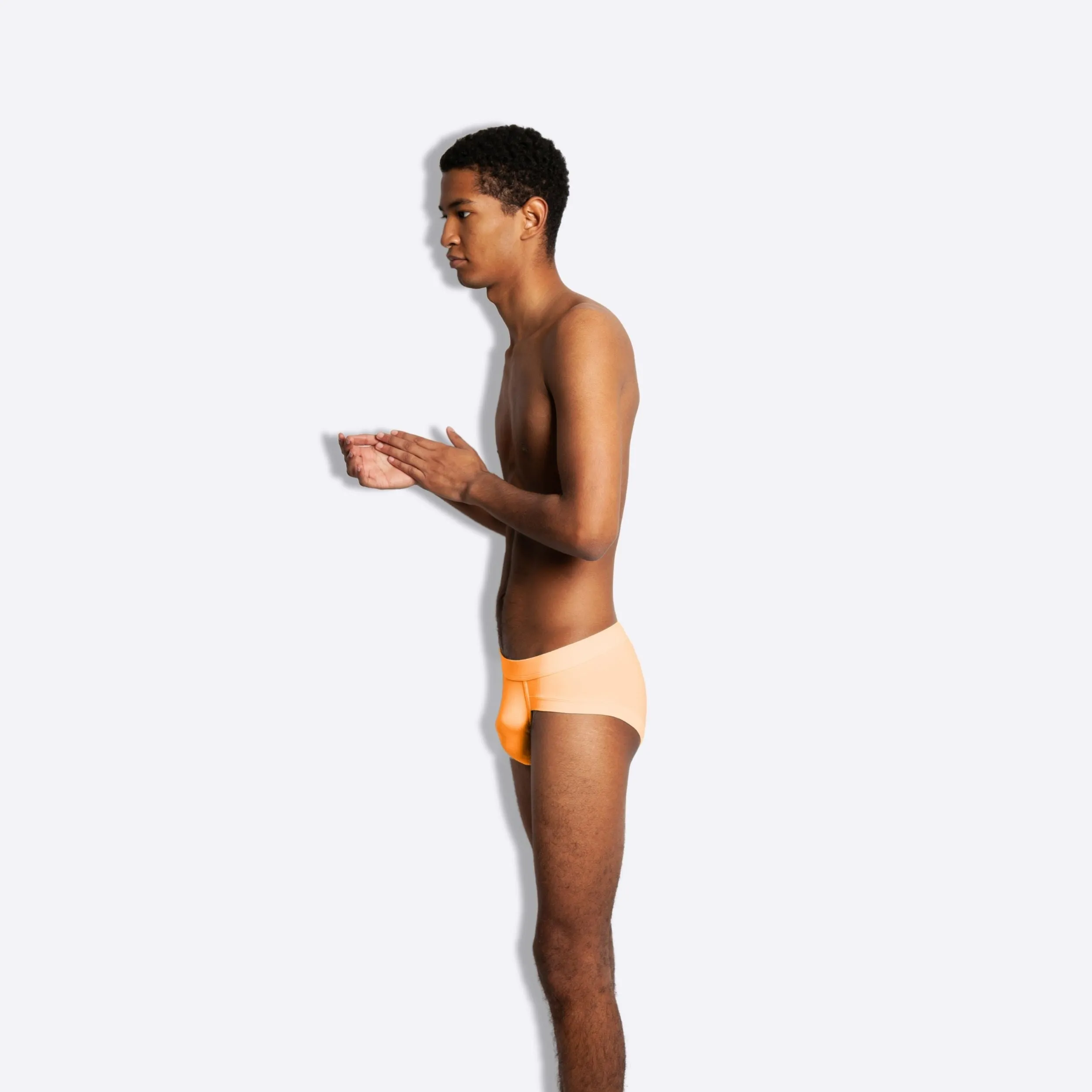 The Citrus Orange Brief